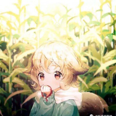 体验悬崖秋千坠亡女子反复说没绑紧